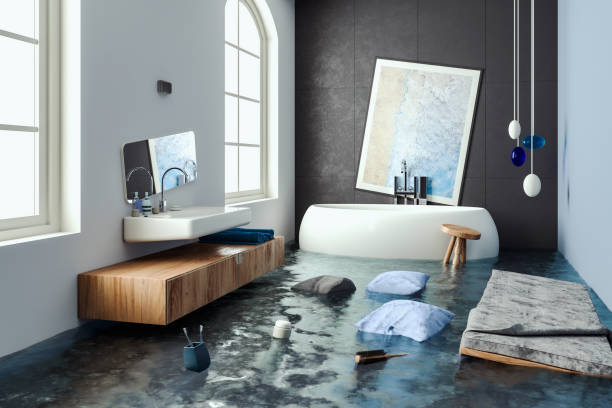 Best Mold removal after water damage  in Fisher, IL