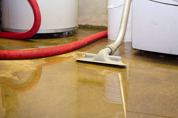 Fisher, IL Water damage restoration Company
