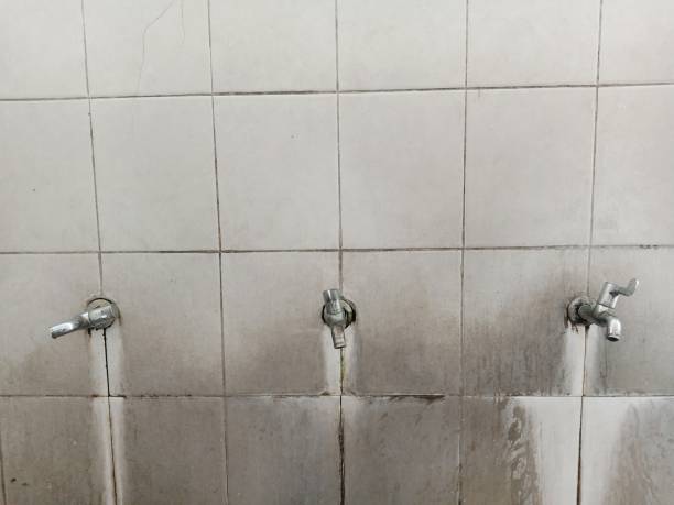 Best Water damage cleanup near me  in Fisher, IL