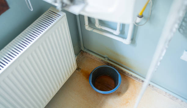  Fisher, IL Water damage restoration Pros
