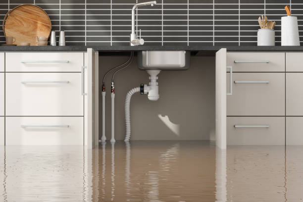 Best Carpet water damage restoration  in Fisher, IL