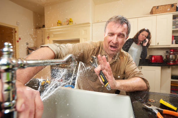 Best 24/7 water damage repair  in Fisher, IL